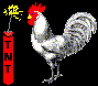 Exploding Chicken Animated image By Krafty